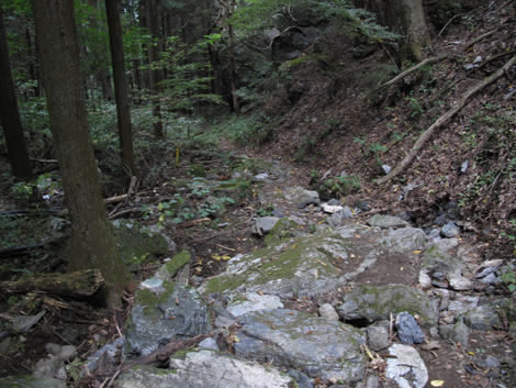 20151021hike (388)